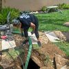 Septic Queen 