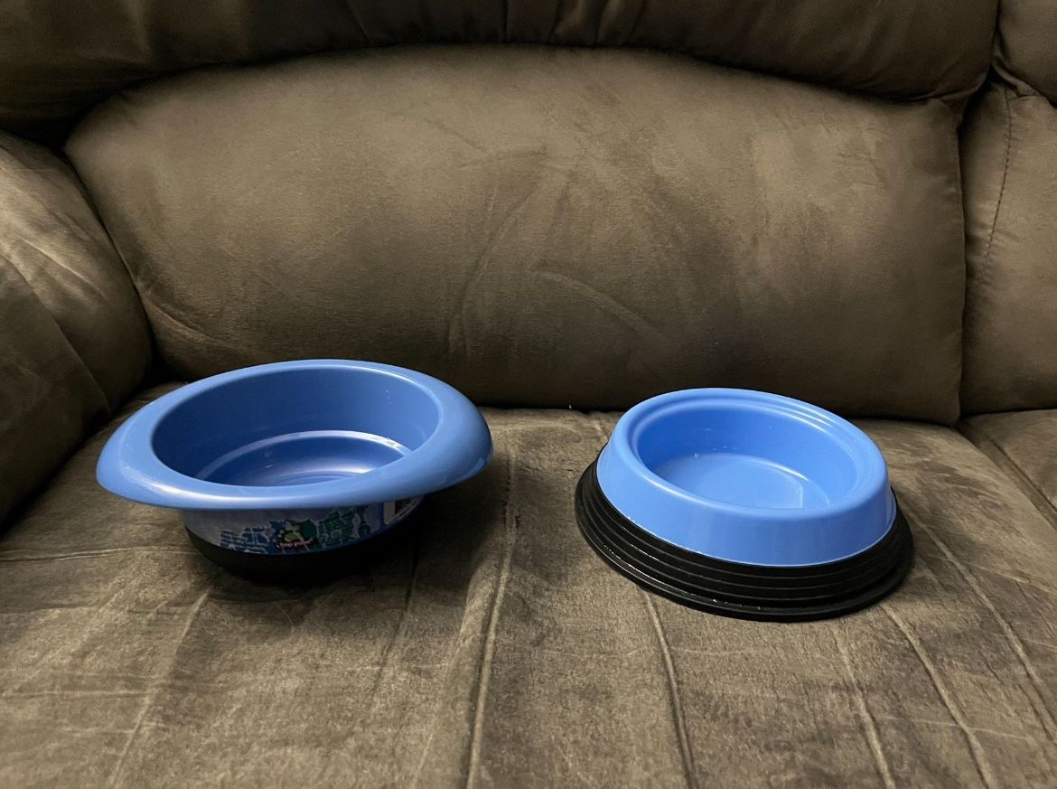 Cat Food And Water Bowl