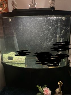 Big Fish Tank FISH NOT INCLDED⚠️⚠️