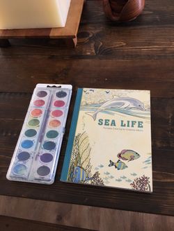 COLORING BOOK AND PAINTS