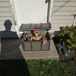 Halloween chest skeleton pirate