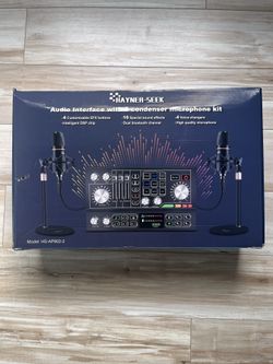 Hayner-Seek Audio Interface With 2 Microphone Kit