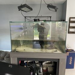 250 Gallons Aquarium 
