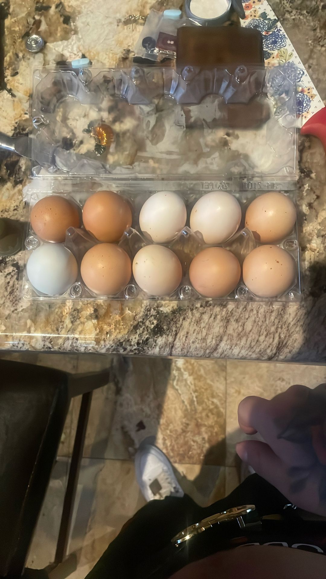 Fresh eggs