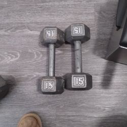 Cast Iron Dumbbells 15lbs