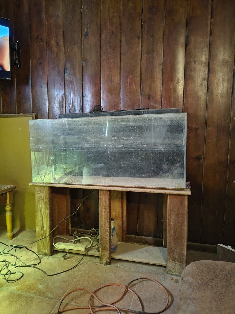 45 Gallon Acrylic Aquarium With Stand And Lights