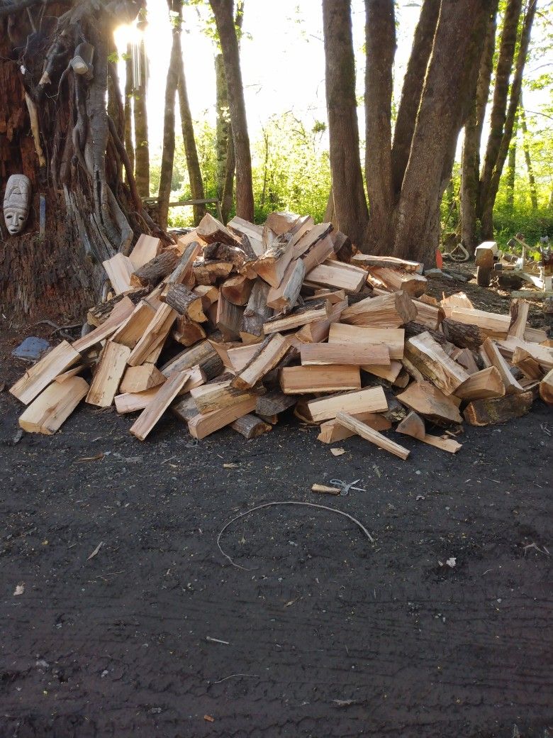 Dry Maple