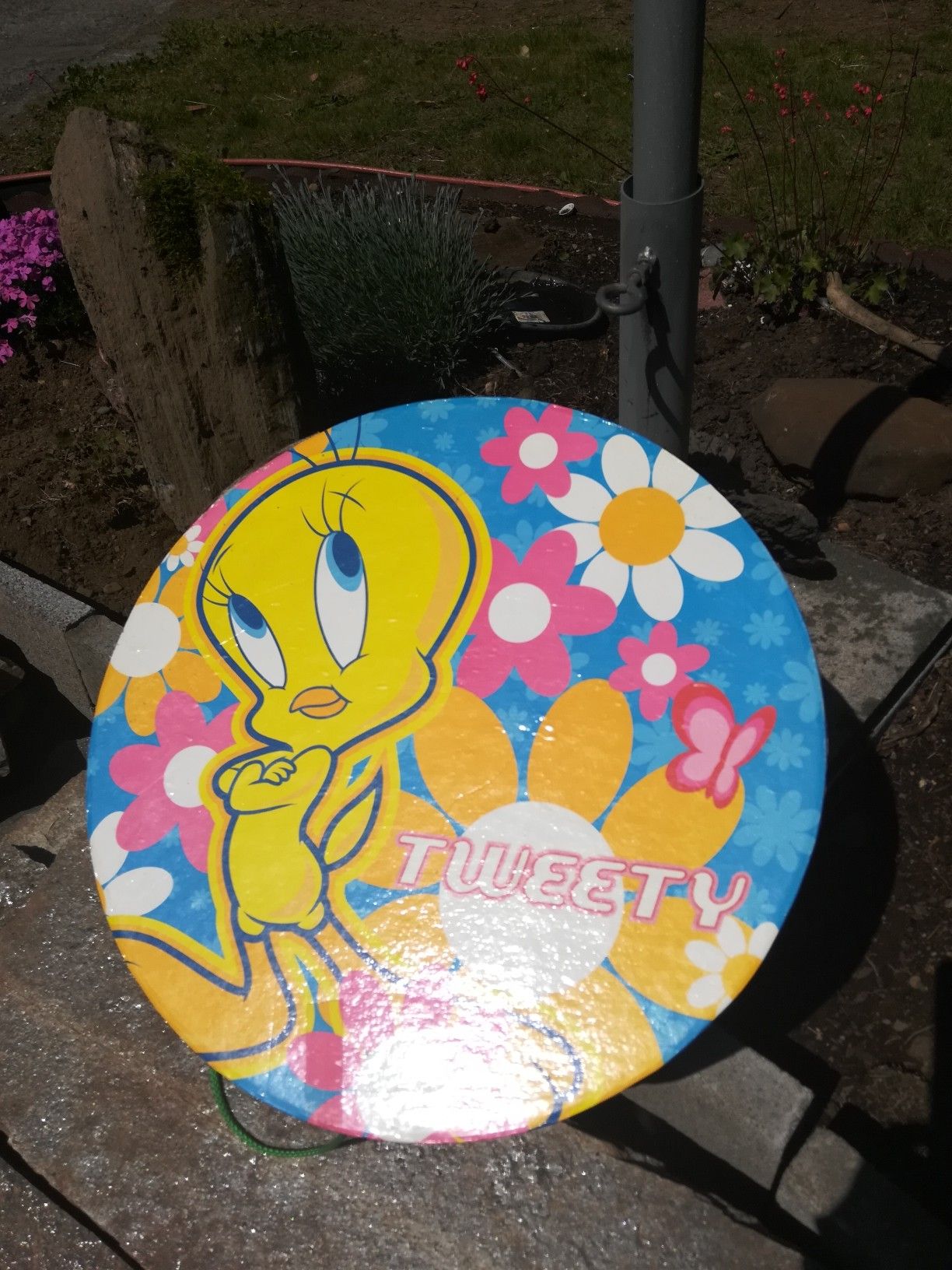 Tweety bird box