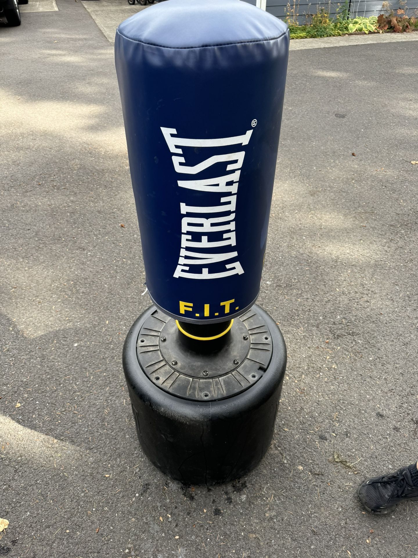 Everlast Punching/kickboxing Bag