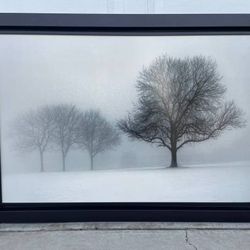 Large Beautiful Wall Art picture Winter Tree with Wood Frame
