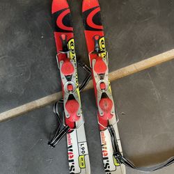 Ski Blades