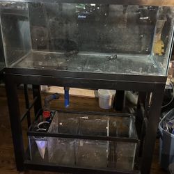 40 Gallons Breeder Ready Overflow  +20 Gallon Sump plus stand  