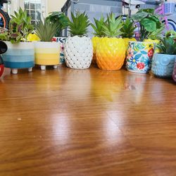 All New Plant Brand New With Tag Succelant Artifiacal Plant For Home Decor Spring Summer Special $5 Each