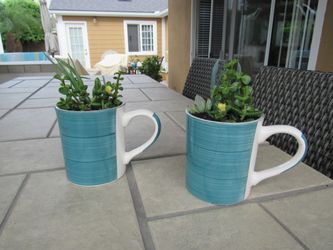 Pair Of Turquoise Cups Garden Pots With Succulents