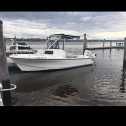 Dusky Boat Fish Around Cabin  22ft