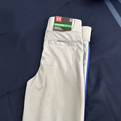 Youth large Baseball Pants