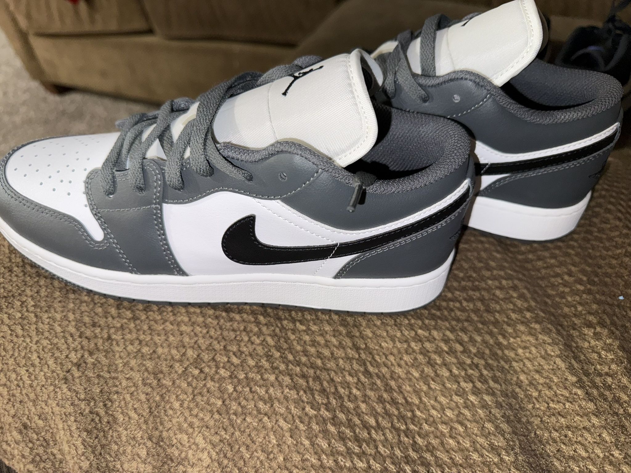 Brand New Jordan 1 Low