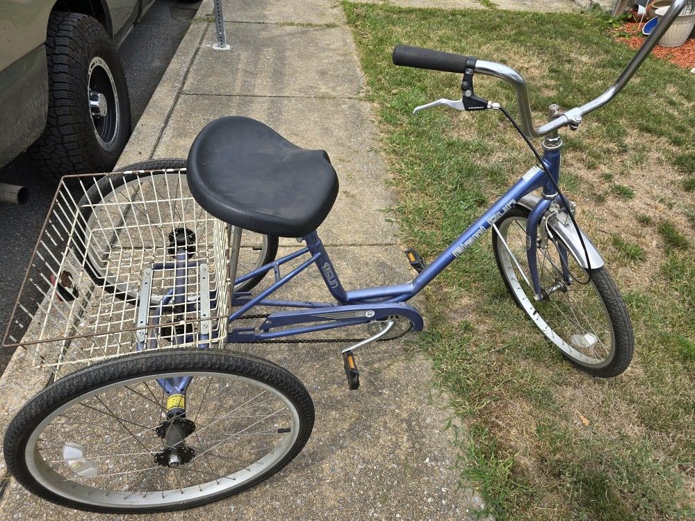 Adult Trikes