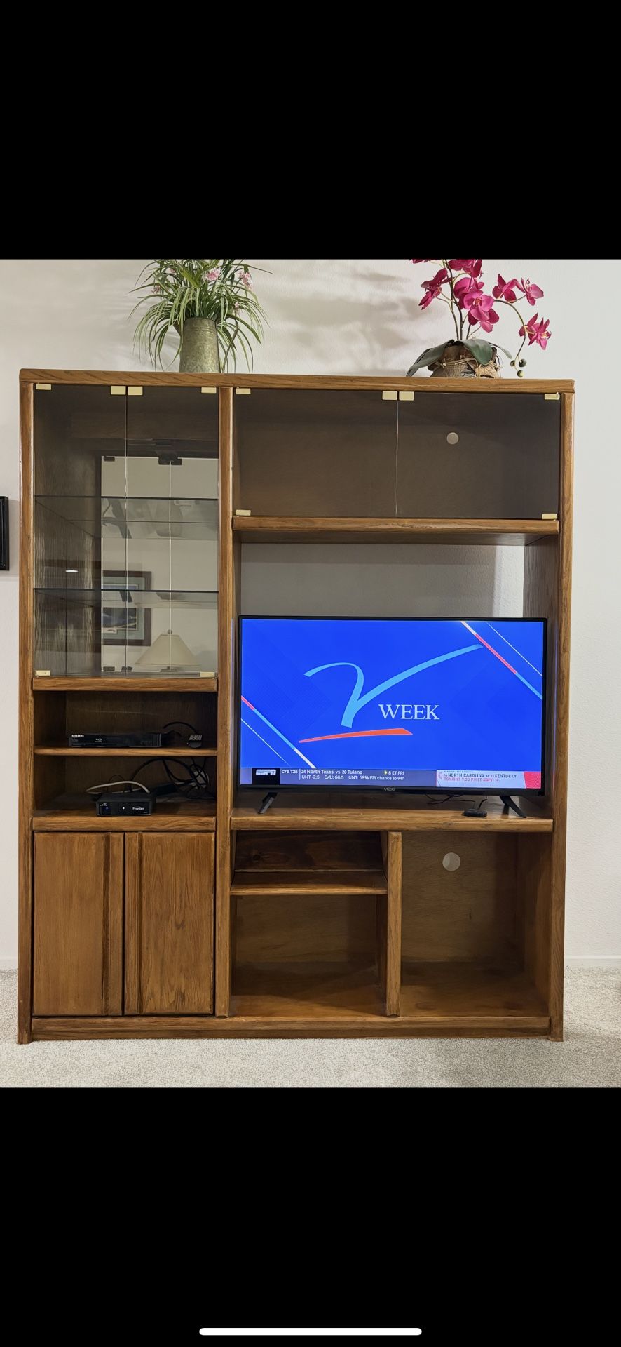 Entertainment Center Shelving Unit 