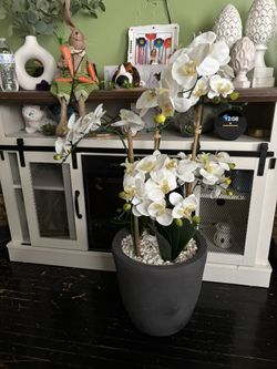OrquÃdea Flower