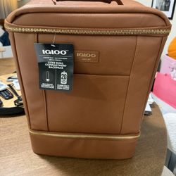 Coca Cola Igloo Luxe Compartment Backpack 