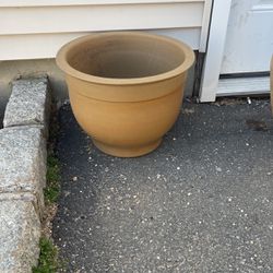 Another Beautiful Flower Pot