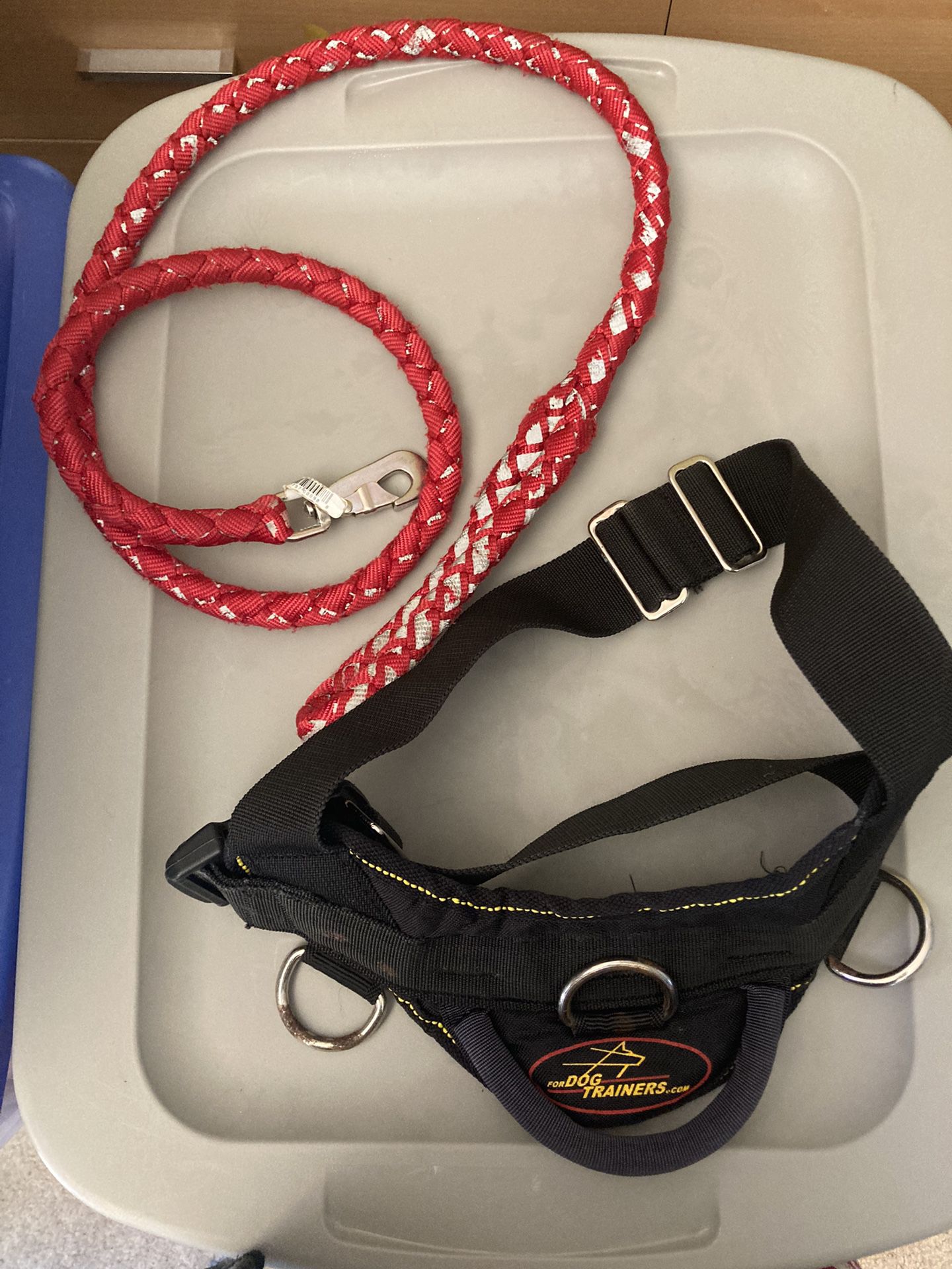 dog leash And Harness For Dog Trainer.