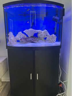 Saltwater aquarium for sale
