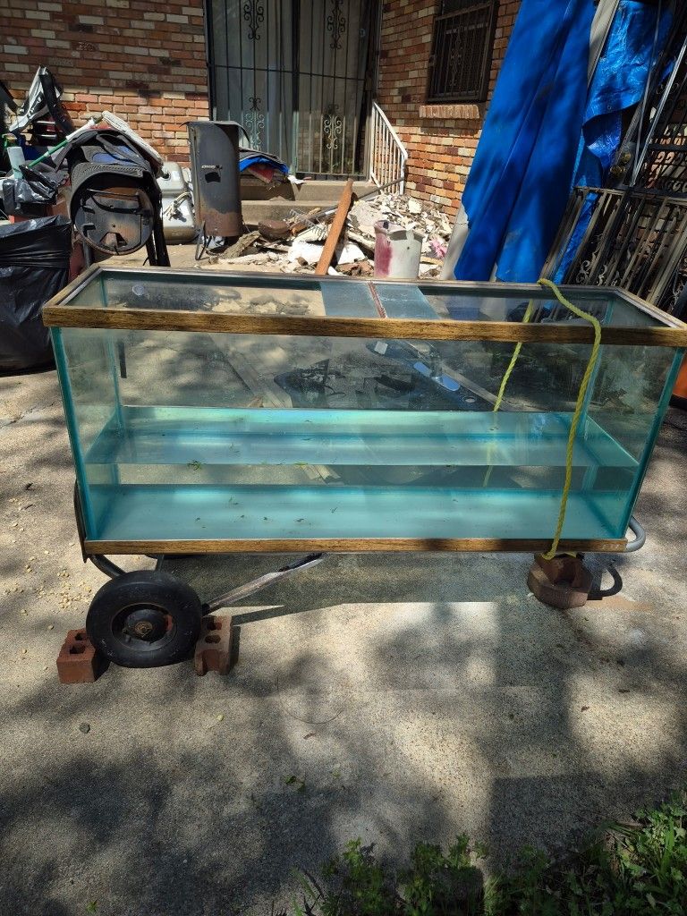Fish Tank