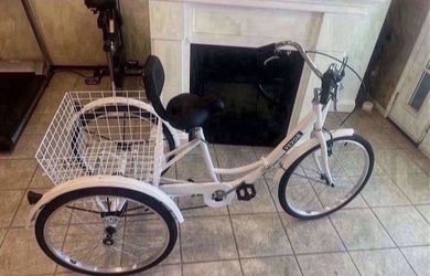 Adult Tricycle