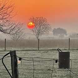 Dog Kennel Attendant Part Time Work