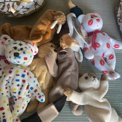 Beanie Babies Different Condition Spring Cleaning Sale