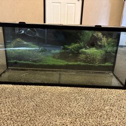 55 Gal Fish Tank