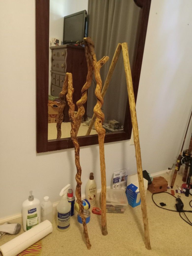 Walking Stick