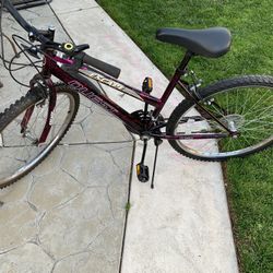 Mountain Bike