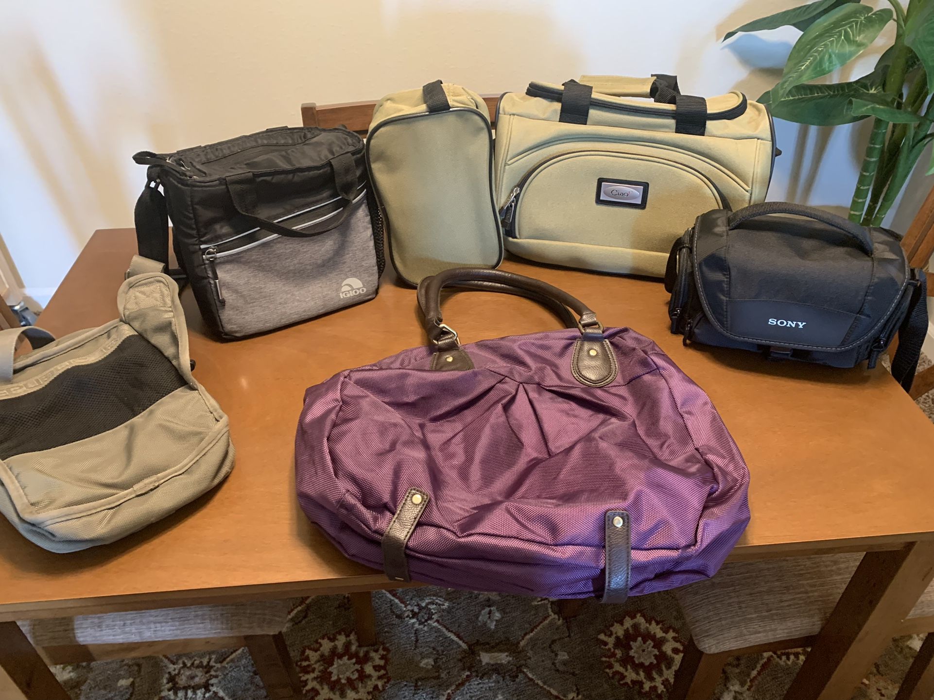 Travel Bag Set ( See Discriptions)