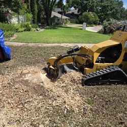 I do stump grinden gud prices 