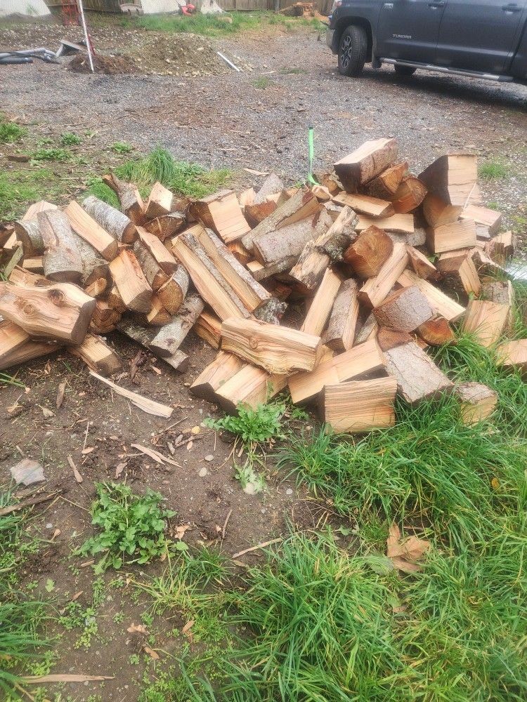 Firewood