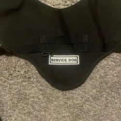 Security dog vest