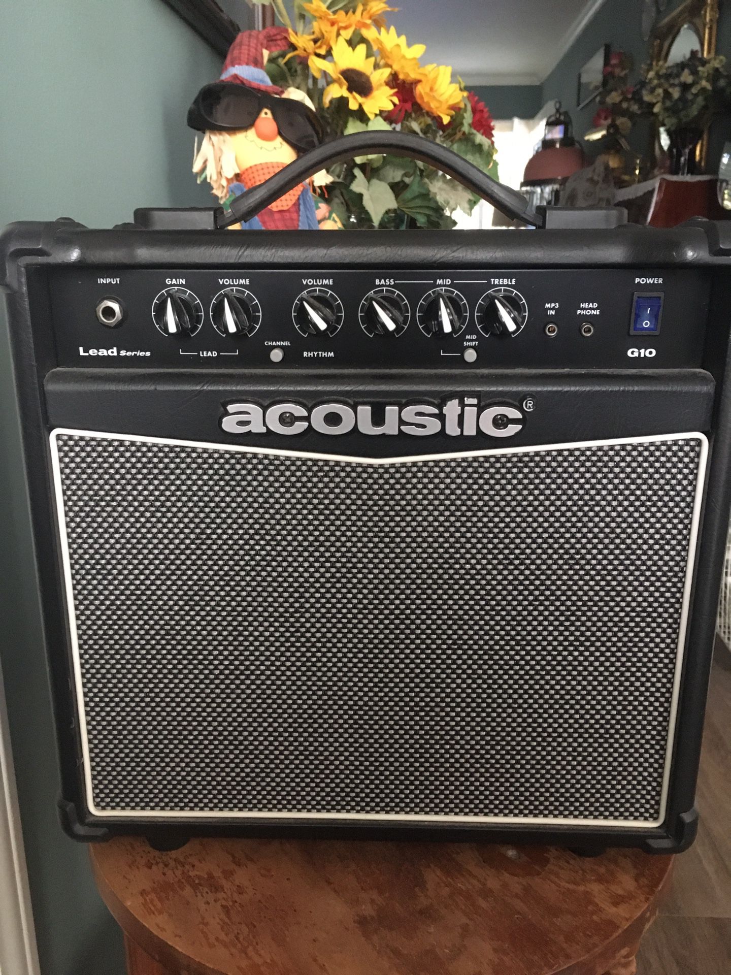Acoustic G10 practice amplifier