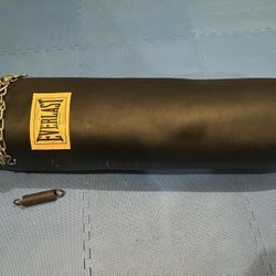 Everlast Heavy Punching Bag