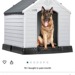 BRAND NEW DOG HOUSE 