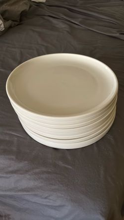 Crate & Barrel Dinner Plates