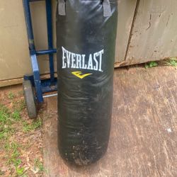 Punching Bag