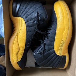 Jordan 12