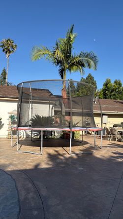 Trampoline  bouncer