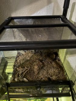 Cubed 7 Gallon 12×12×12