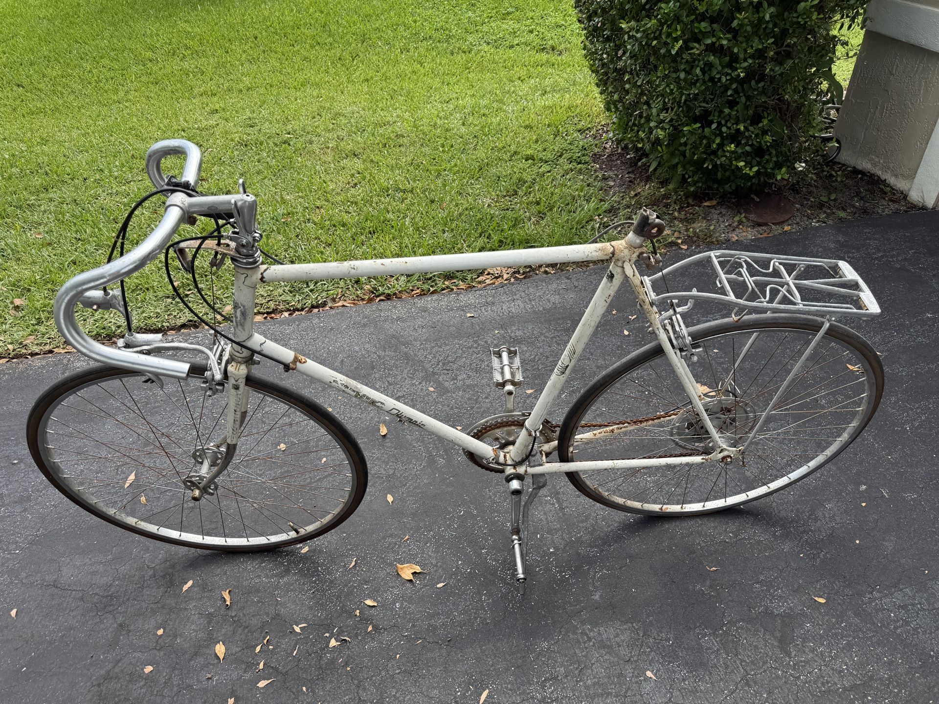 1973 Nishiki Olympic Champion