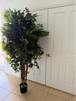 Large Artificial Ficus Tree – Approx. 7–8 ft Tall  Beautiful, realistic artificial ficus tree in excellent condition. Perfect for a living room, offic