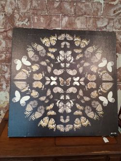 Butterfly canvas art
